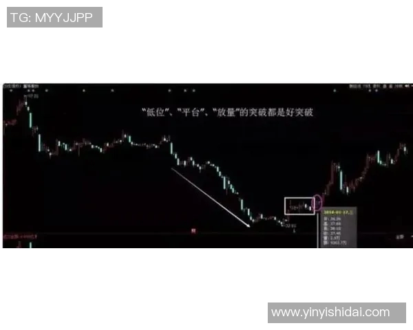 飞盘战术解析：重庆飞盘队如何实现中路突破的秘密与技巧